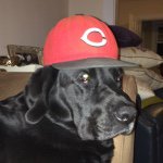 Profile Picture of Jeff Mock (@jmock00) on Instagram