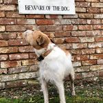 Profile Picture of Andrew Follett (@getafishinstead) on Instagram