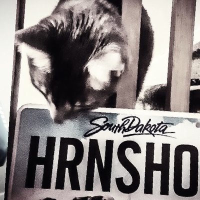 Profile Picture of Jeremy Janssen (@HuronShop) on Twitter