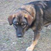 Hazel Yaskiw - Youtube Profile Picture of Hazel Yaskiw (@hazelyaskiw9170) on Youtube