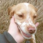 Profile Picture of babin leo (@babinleo) on Instagram