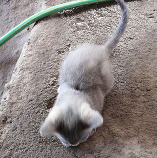 Profile Picture of Jason Belmar (@jason.belmar.31) on Facebook