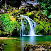 Profile Picture of Nina H Nguyen (@ninahnguyen2921) on Youtube