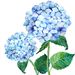 Profile Picture of Hydrangea Lane Home (@hydrangealanehome) on Pinterest