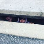 Profile Picture of Joseph Bowman (@boodax03) on Instagram