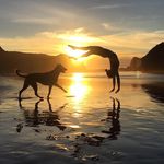 Profile Picture of Ashley Hutchinson (@hutchski) on Instagram
