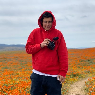 Profile Picture of Nick Seal (@nickthewildseal) on Twitter