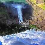 Profile Picture of sherrod (@halligangolde) on Instagram