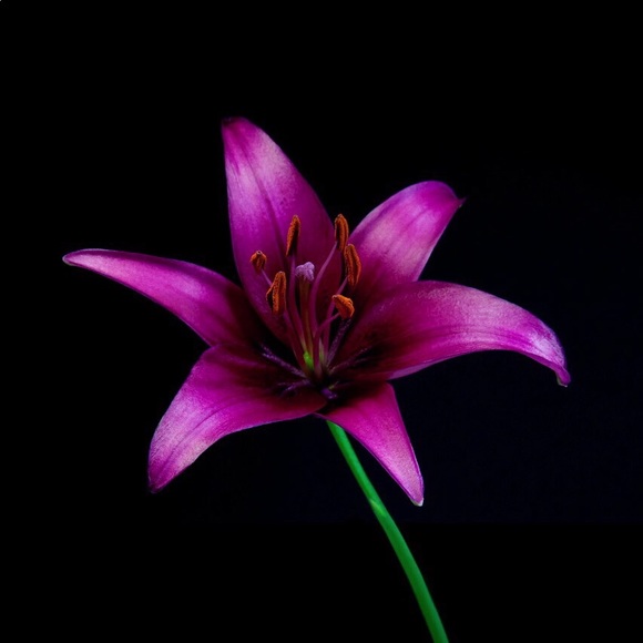 Profile Picture of Erik Su (@erikposhmark) on Poshmark