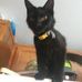 Profile Picture of Josh Clements (@josh.clements.3705) on Facebook