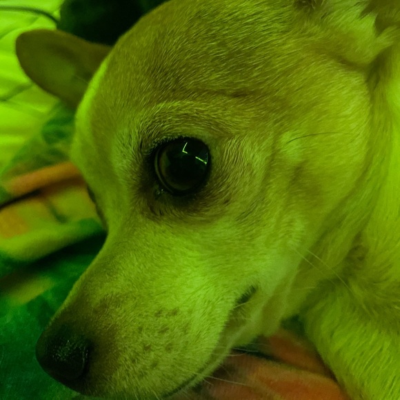 Profile Picture of Jerrica Richardson (@jerrriccca) on Poshmark