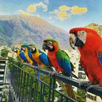 Profile Picture of jonathan camacho (@jonathancb21) on Instagram