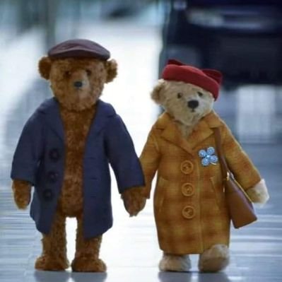 Profile Picture of Kim Rod Behr (@hausbehr) on Twitter