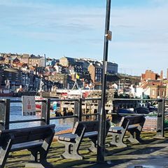 Profile Picture of Neil Beck609 (@neilbeck24) on Tiktok