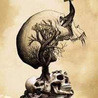 James Nordman - Quora Profile Picture of James Nordman (@james-nordman) on Quora