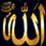 Profile Picture of Majda Maalal (@majdamaalal) on Flickr