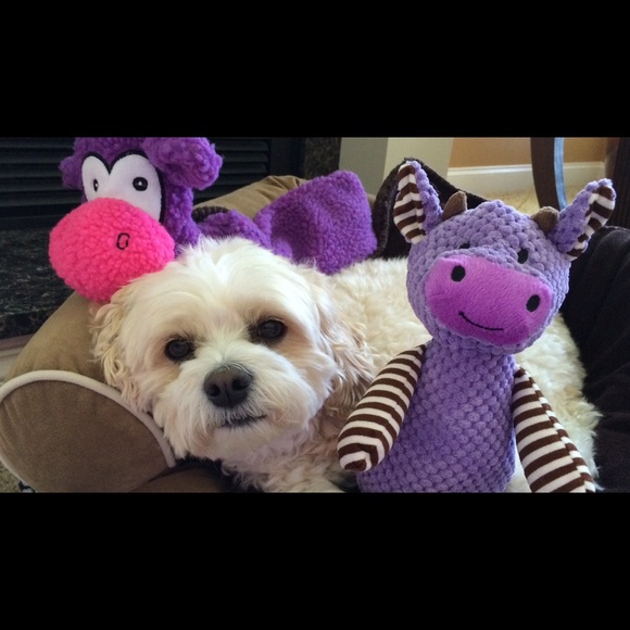 Profile Picture of Michele Closky (@mclosky) on Poshmark