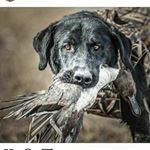 Profile Picture of daren hill (@duck_hunter_4_eeeeeeva) on Instagram