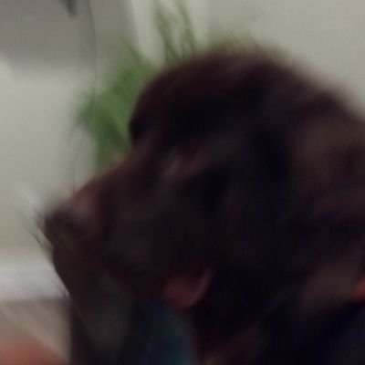 Profile Picture of Phyllis Ruth (@PhyllisRuth9) on Twitter