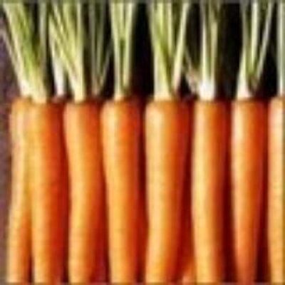Profile Picture of Stephanie Lazarus (@StephanieLazar5) on Twitter
