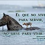 Profile Picture of Fidencio Mendez (@fidencio.mendez.313) on Instagram