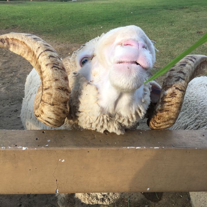 Profile Picture of Jar.red (@jaredng28) on Tiktok