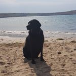 Profile Picture of Fran Carpenter (@fcarpenter0407) on Instagram