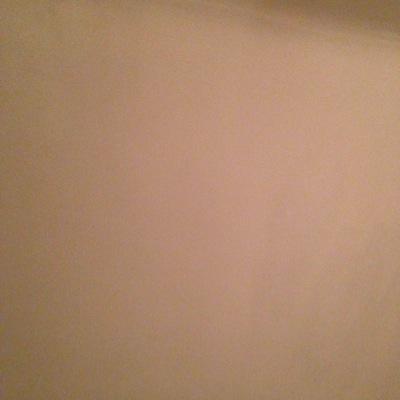 Profile Picture of Leslie Ann Wille (@lesliewille) on Twitter