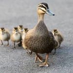 Profile Picture of Brandy Tagg (@tagglemum) on Instagram