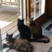 Profile Picture of Nancy Tufte (@nancy.tufte.5) on Facebook