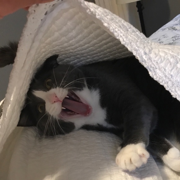 Profile Picture of Lotte Larson (@lotte_larson) on Poshmark