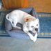 Profile Picture of Paula Orlowski (@Paula-Orlowski) on Facebook
