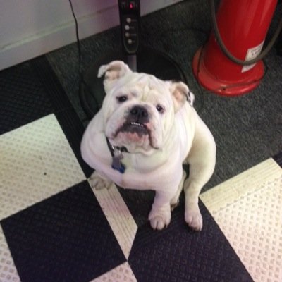 Profile Picture of Steven B Dilley (@sdilleyb) on Twitter