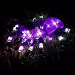 Profile Picture of Richard J Greenup (@richardgreenup) on Instagram