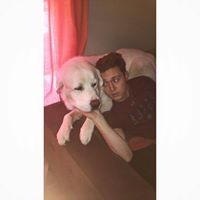 Profile Picture of Michael Vaughn (@michael-vaughn-83) on Quora