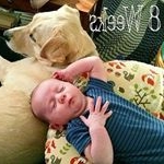 Profile Picture of adapintor (@adapintor) on Instagram