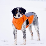 Profile Picture of Blue Fam (@bluefam) on Flickr