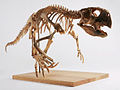 Profile Picture of Psittacosaurus - Wikipediaon Wikipedia