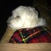 Profile Picture of Jeanine Holmes (@jeanineholmes6) on Pinterest