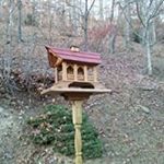 Profile Picture of Janet Cunningham (@jntcunningham) on Instagram