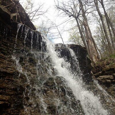 Profile Picture of Steve Ellsworth (@Waverly812) on Twitter