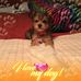 Profile Picture of Nancy Scruggs (@nancy.scruggs.56) on Facebook