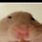 Profile Picture of Alexander Fraire (@alexander.fraire.809284) on Facebook