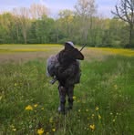 Dylan Dalrymple - Facebook Profile Picture of Dylan Dalrymple (@dylan.dalrymple.50) on Facebook