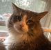 Profile Picture of Janet Elmquist (@janet.elmquist.1) on Facebook