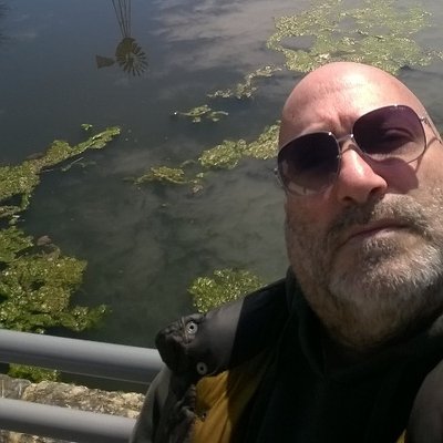 Profile Picture of Chris Petrillo (@ChrisShagshag1) on Twitter