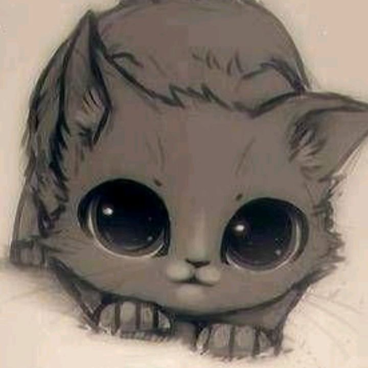 Profile Picture of Laura_Schroter (@laura_schroter) on Tiktok