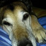 Profile Picture of joel dumont (@joel.dumont14) on Instagram