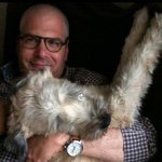 Profile Picture of Howard Greenberg (@hgreenberg1) on Instagram