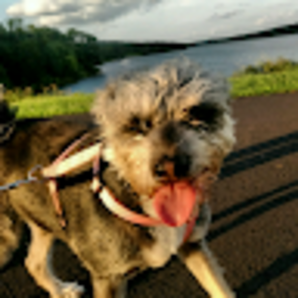 Profile Picture of Carole Carey-bruning (@carole_carey_br) on Poshmark